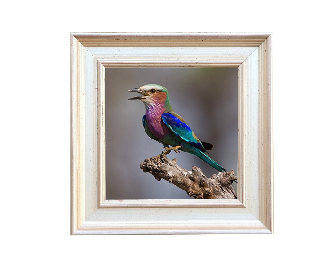 Large Square Silver Picture Frame, Antique Decor Etsy