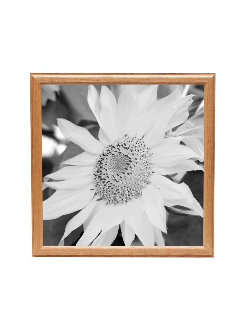 Oak Photo Frame 12 x 12 Light Oak Picture Frame Etsy