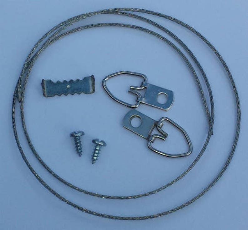 May include: A set of picture hanging hardware, including a silver wire, two silver D-shaped hooks, a silver sawtooth hanger, and two silver screws.