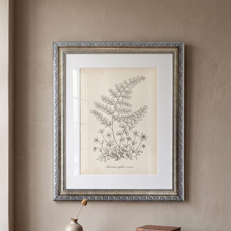 Op de afbeelding: Een ingelijste botanische prent met een gedetailleerde zwart-wit illustratie van een varen en kleine bloemen. Het kunstwerk staat tegen een cr&egrave;mekleurige achtergrond en is ingelijst in een zilverkleurige, sierlijke lijst. De prent is gemonteerd op een witte passe-partout.