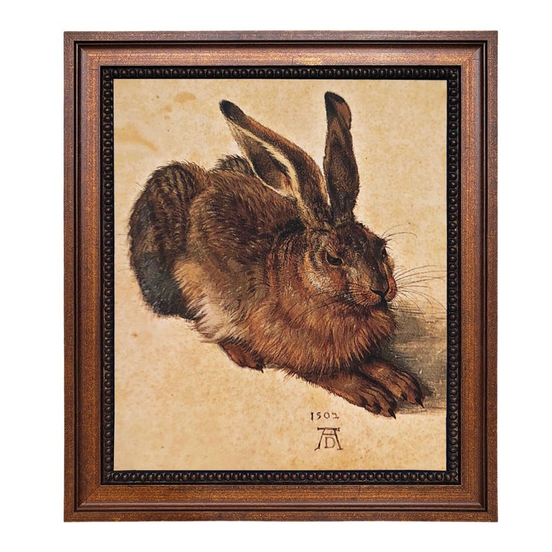 May include: A framed print of a brown hare, a detailed artwork with long ears and fur. The artwork is set against a light background, framed in a dark wood frame. The year 1502 and an artist's mark are visible.
