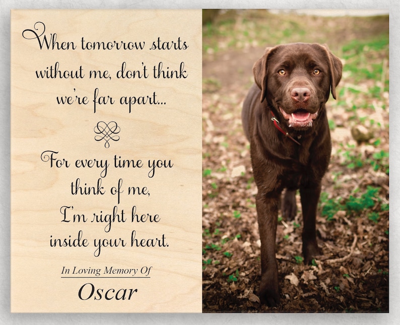 Pet Memorial Frame Pet Sympathy Gift Dog Memorial Plaque