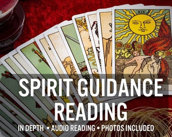 One Card Tarot Reading: Quick Insight, Spirit Guidance (Audio Reading)