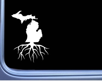I Grew Up In Michigan | My Roots Are In Michigan - Foto 4