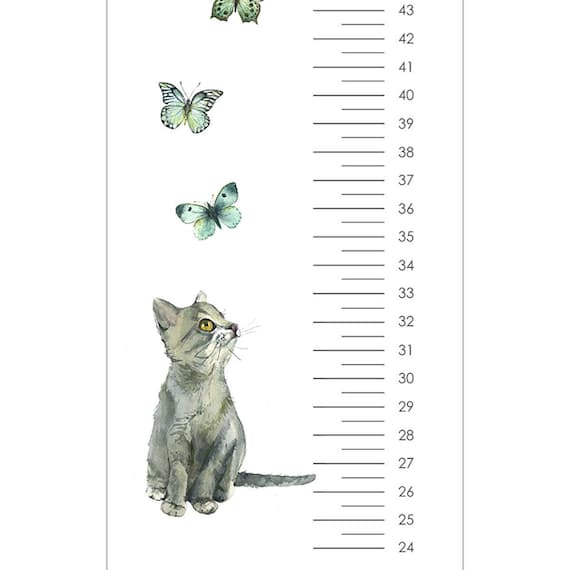 Kitten Growth Chart