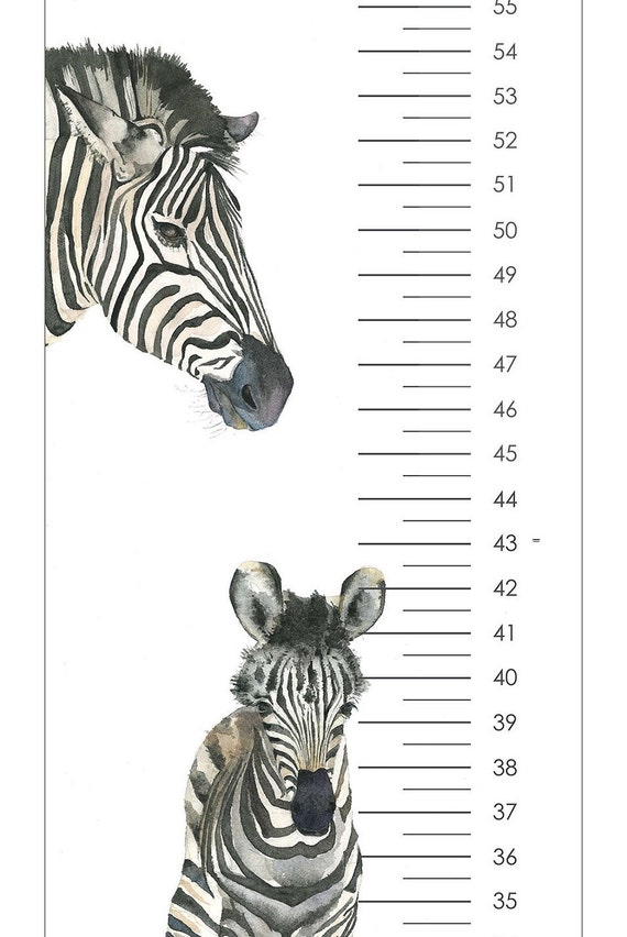 Zebra Growth Chart