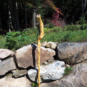 Adirondack natural curved walking stick
