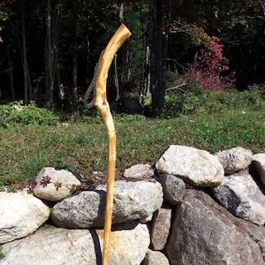 Adirondack natural curved walking stick