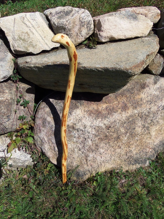 Finished cane