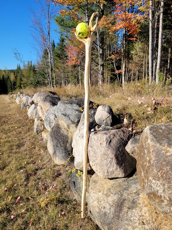 Large wizard staff