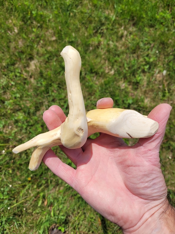 Unfinished cane