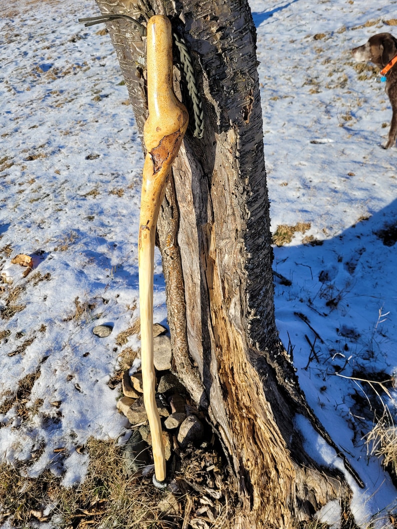 Short Adirondack Walking Stick - Etsy