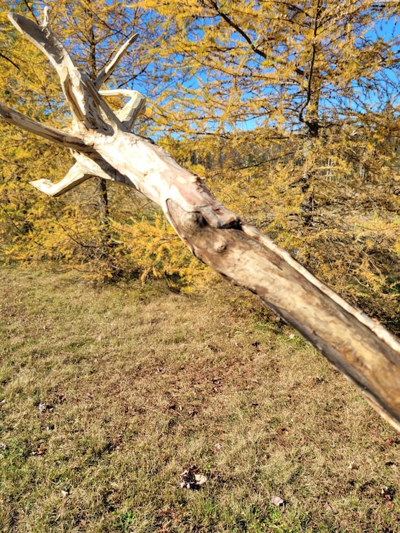 Large wizard staff
