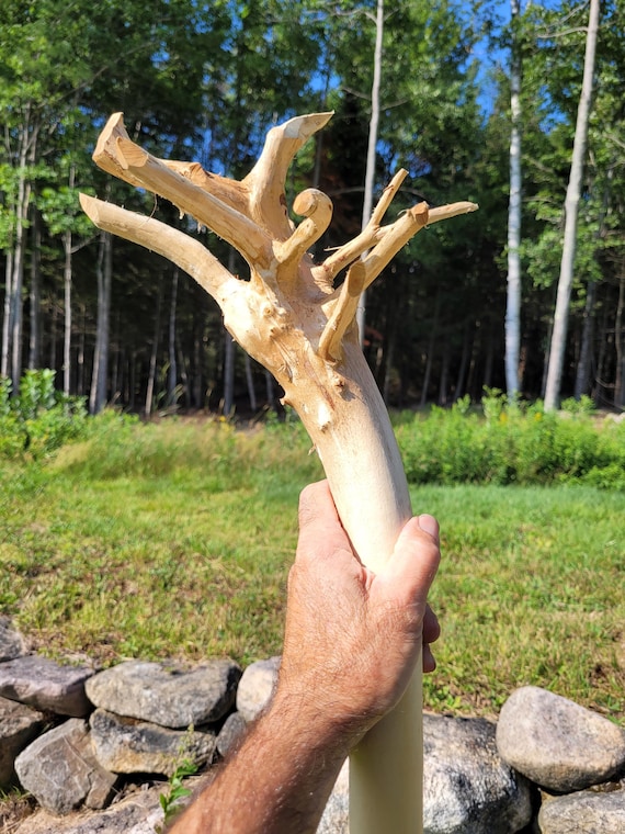 Large Wizard Staff
