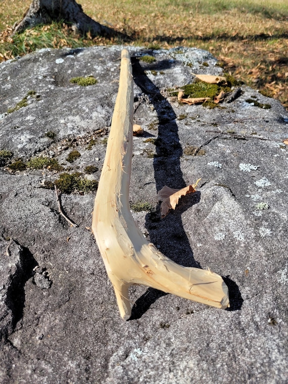 unfinished cane