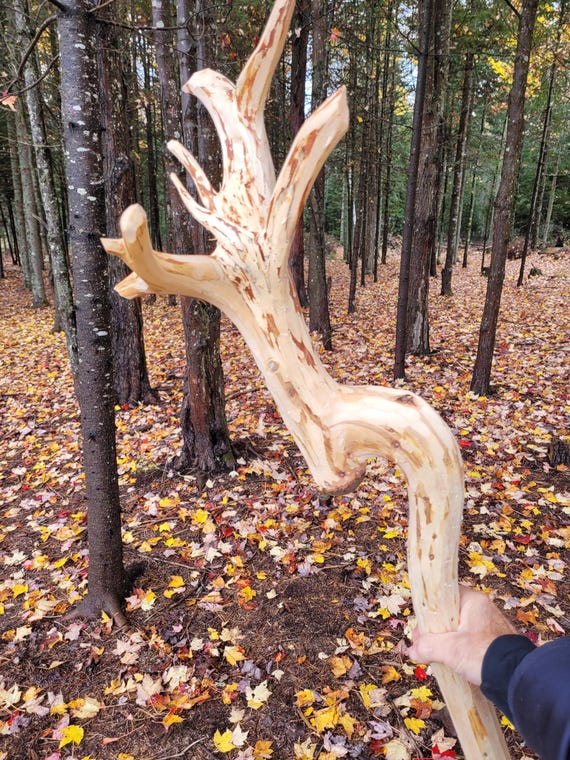Large wizard staff
