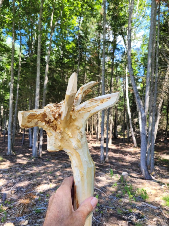 Large wizard staff