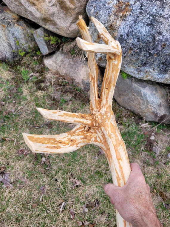 Extra tall wizard staff