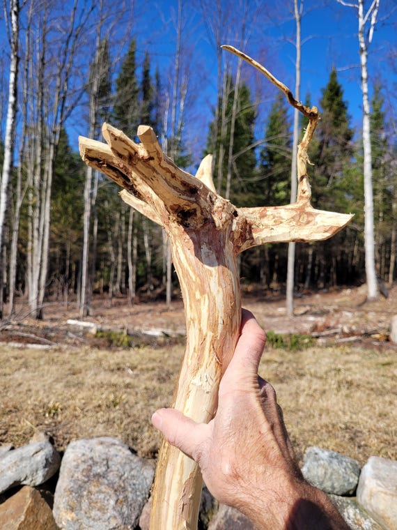 Large wizard staff