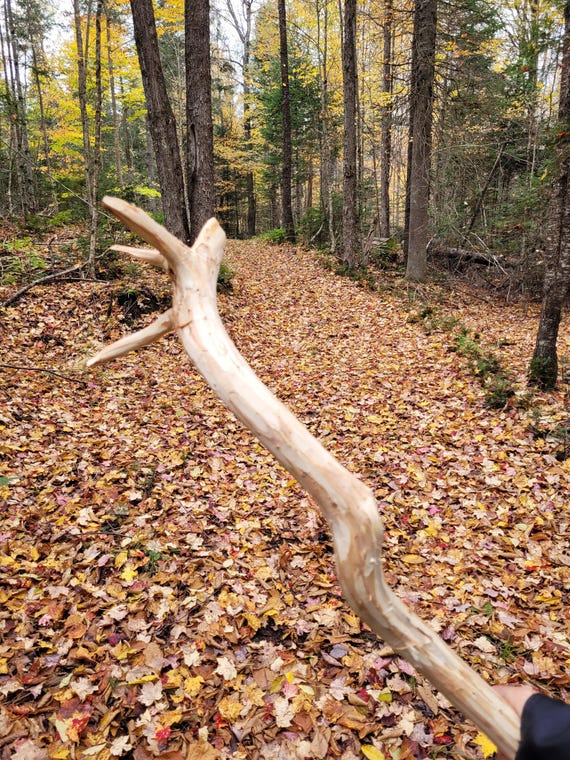 Large Wizard Staff