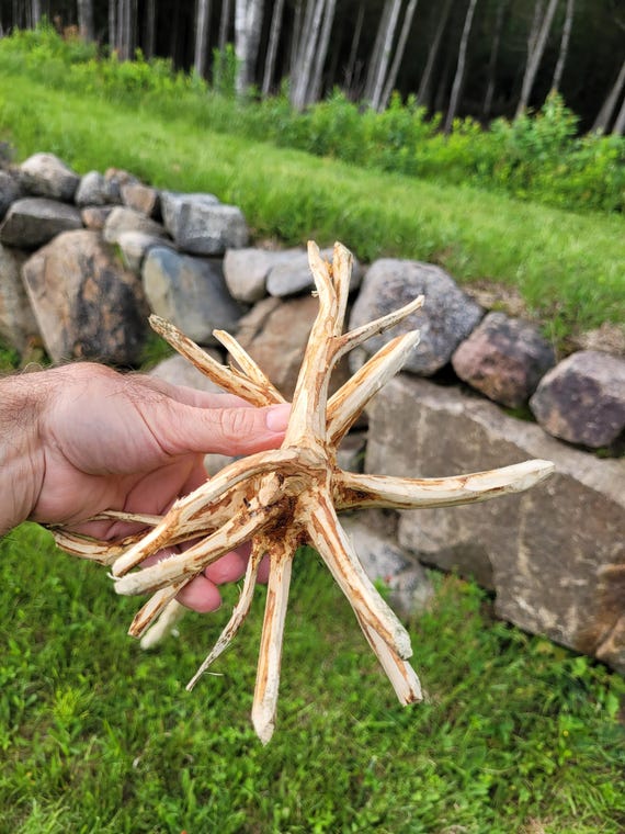 Large wizard staff