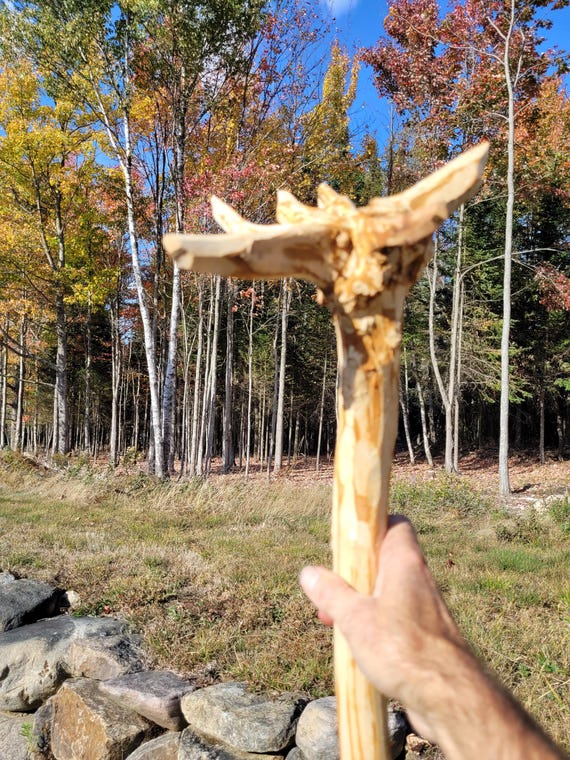 Large wizard staff