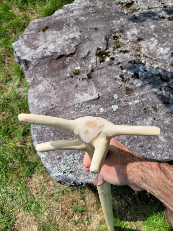 Unfinished cane