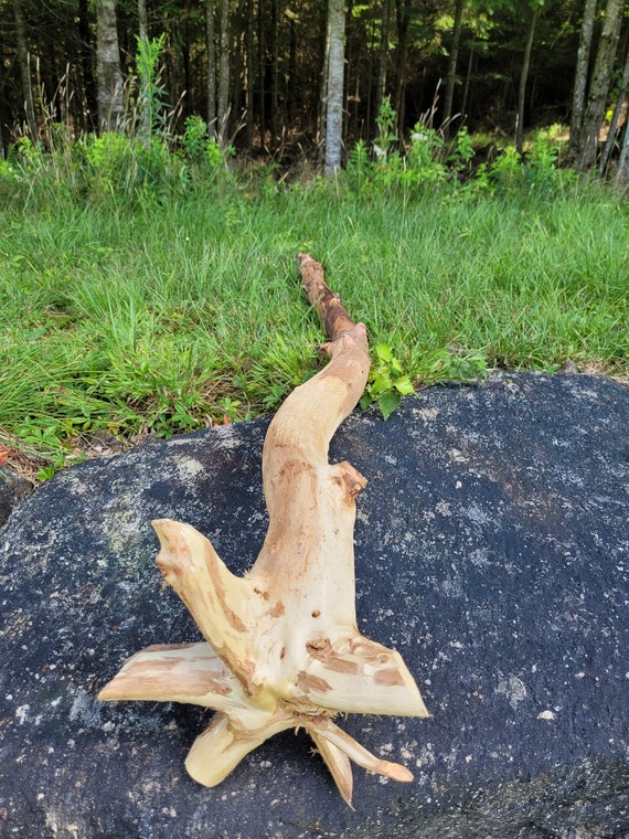 Large wizard staff