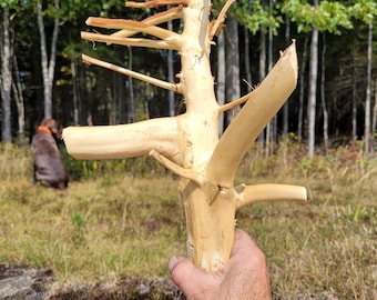 Large wizard staff