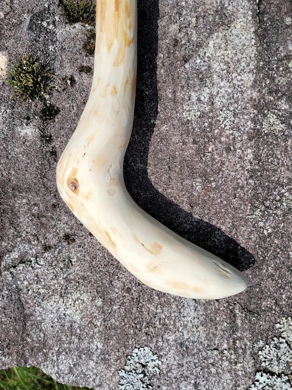 Unfinished cane
