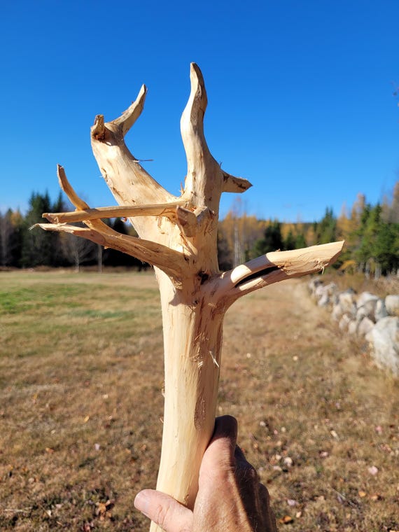 Knock down wizard staff