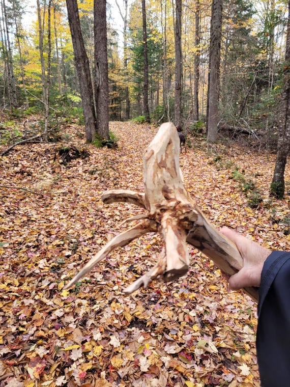 Large wizard staff