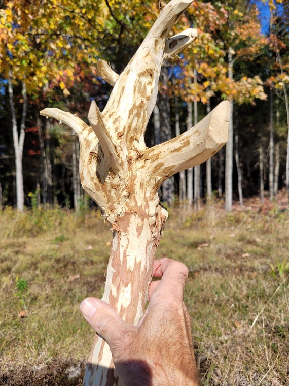 Large wizard staff