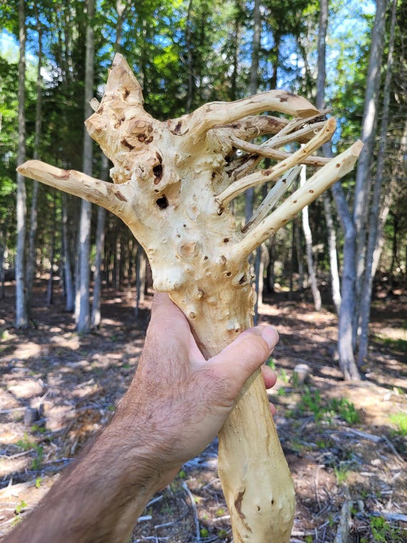 Large wizard staff