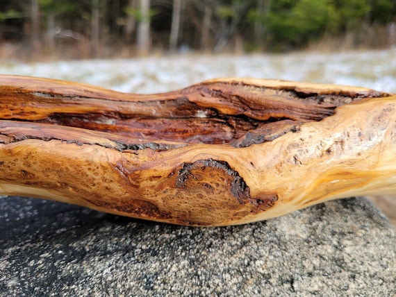 Short Adirondack walking stick