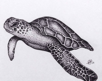 sea turtle drawing etsy