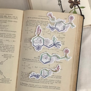 Paquete de pegatinas de aromas químicos / Rosa, Anís, Vainilla, Canela Productos químicos / Pegatina de química floral /