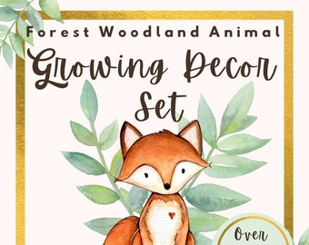 Forest Woodland Animal Classroom Decoration Pack