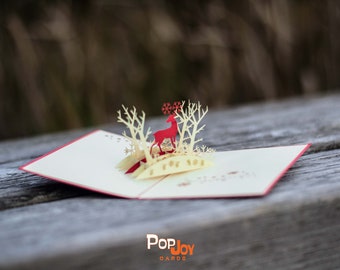 Reindeer Christmas Pop Up Card Pack (2 cards)