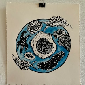 Könnte beinhalten: Ein Schwarz-Weiß-Linolschnitt mit verschiedenen Meeresbewohnern, darunter Seesterne und Seegurken, angeordnet in einem kreisförmigen Muster auf blauem Hintergrund. Der Druck befindet sich auf strukturiertem, cremefarbenem Papier und wird von einer schwarzen Klammer gehalten.