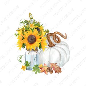 Watercolor - White Pumpkin - Sunflowers - Mason Jar - Fall - PNG - Transparent - Instant Download - Digital Download  Sublimation Design