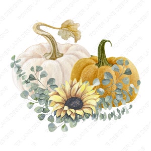 May include: A watercolor painting of two pumpkins and a sunflower. The pumpkins are white and orange, and the sunflower is yellow with green leaves. The pumpkins are surrounded by eucalyptus leaves.