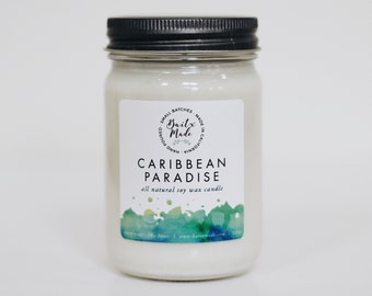 Caribbean Paradise, vela única, vela de verano, vela de primavera, velas de primavera, velas para él, vela de soja 12oz