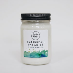 Caribbean Paradise, unique candle, summer candle, spring candle, spring candles, candles for him, soy candle 12oz image 1