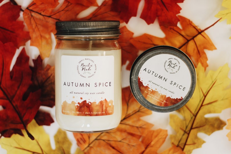 Autumn Spice soy candle fall candle autumn candle cinnamon Etsy