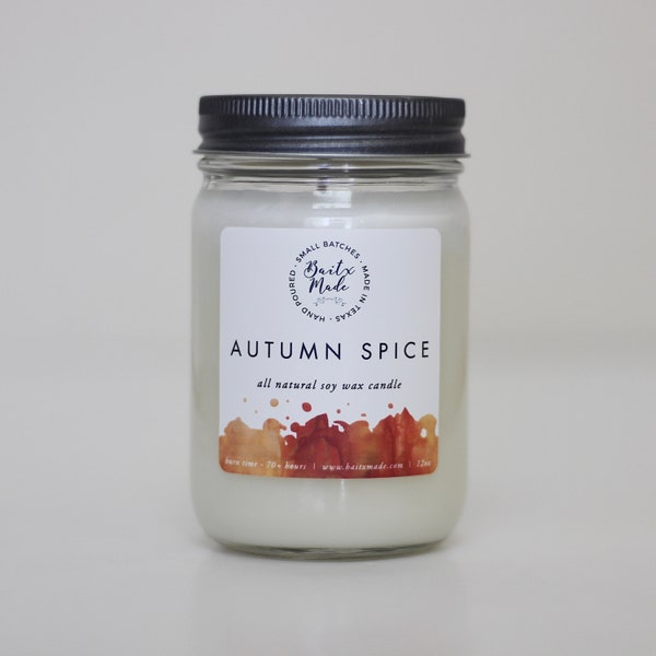 Autumn Spice soy candle, fall candle, autumn candle, cinnamon candle, Thanksgiving candle, holiday candle