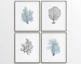 Puede incluir: Conjunto de cuatro impresiones enmarcadas con ilustraciones de coral en tonos azules y grises. Las impresiones están dispuestas en una cuadrícula en una pared blanca.