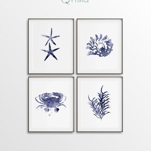 May include: Set of four indigo blue watercolor prints featuring a starfish, a crab, a seahorse, and seaweed. The prints are framed in black frames and are displayed on a white wall.
