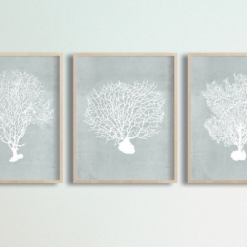 Hamptons Wall Art Set of 4 Prints Coral Print Sea Coral Etsy