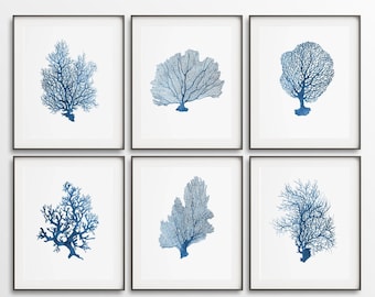 Blue Sea Coral Prints, Coastal Bathroom Wall Art (Digital Download)